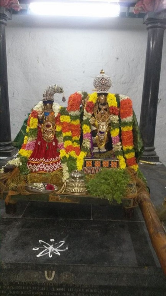 Thiruvinnagar Sri Oppilliappan Venkatachalapathi Temple Vaikunda Ekadasi Utsavam13
