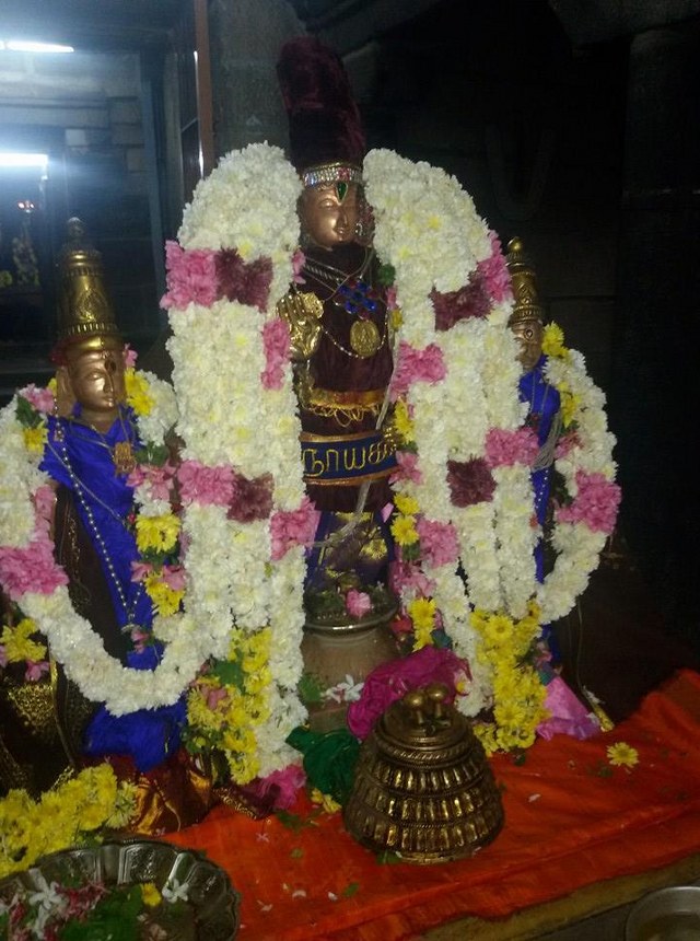 Thoopul Sri Vilakoli Perumal pagal Pathu Satrumurai 2014-2