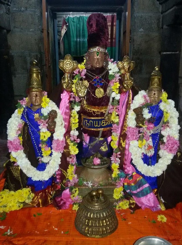 Thoopul Sri Vilakoli Perumal pagal Pathu Satrumurai 2014-7