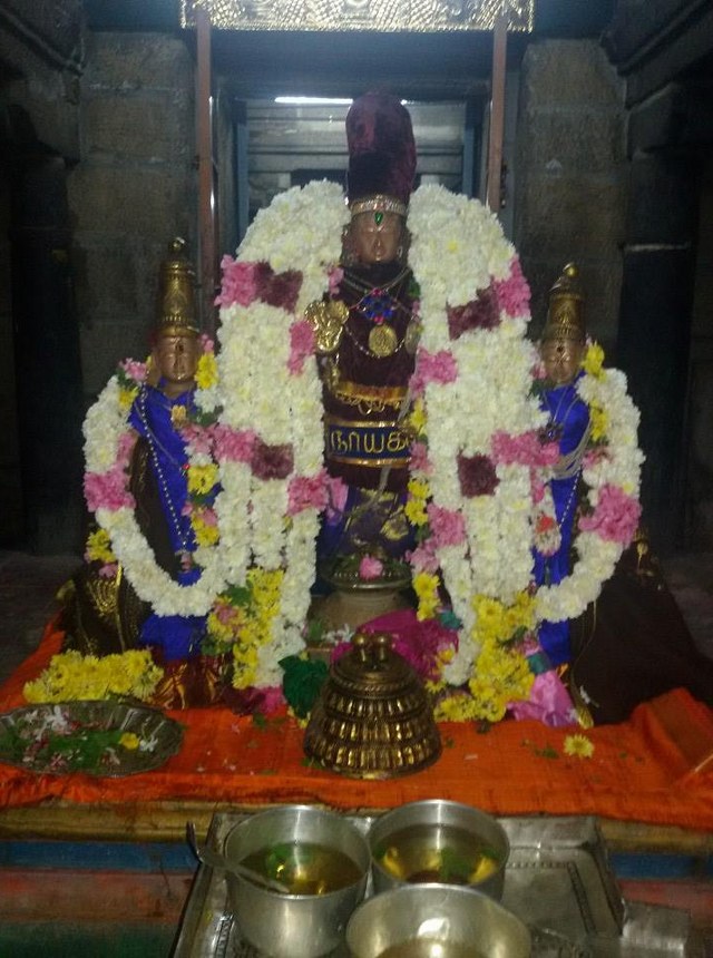 Thoopul Sri Vilakoli Perumal pagal Pathu Satrumurai 2014-8