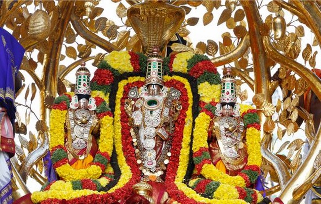 Tirumala Sri Malayappaswamy Temple Rathasapthami Purappadu10