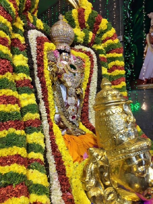 Tirumala Sri Malayappaswamy Temple Rathasapthami Purappadu4