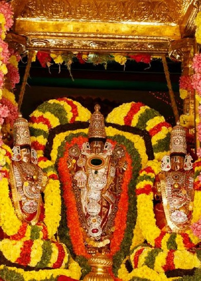 Tirumala Sri Malayappaswamy Temple Rathasapthami Purappadu6