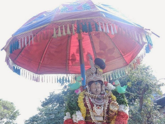 Vaduvur Sri Kothandaramaswamy Temple Kanu Utsavam17