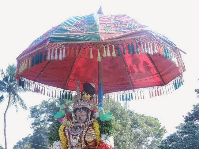 Vaduvur Sri Kothandaramaswamy Temple Kanu Utsavam21