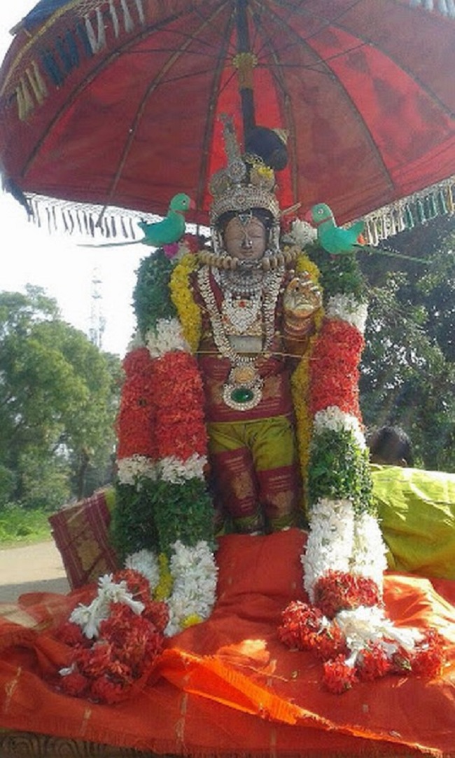 Vaduvur Sri Kothandaramaswamy Temple Kanu Utsavam25