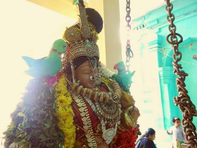 Vaduvur Sri Kothandaramaswamy Temple Kanu Utsavam26