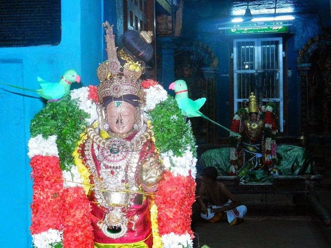 Vaduvur Sri Kothandaramaswamy Temple Kanu Utsavam33