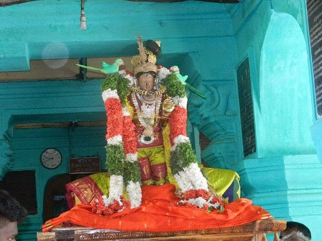 Vaduvur Sri Kothandaramaswamy Temple Kanu Utsavam47