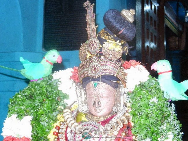 Vaduvur Sri Kothandaramaswamy Temple Kanu Utsavam49