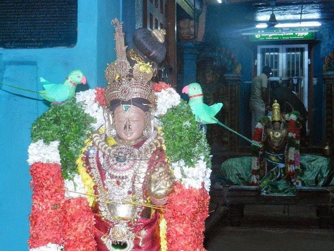 Vaduvur Sri Kothandaramaswamy Temple Kanu Utsavam52