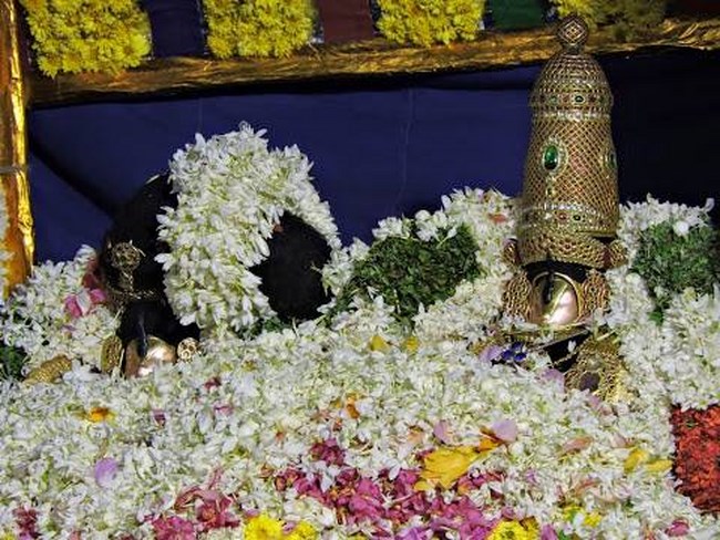 Vanamamalai Sri Deivanayaga Perumal Temple Ennaikappu and Lakshadeepam Utsavam 1