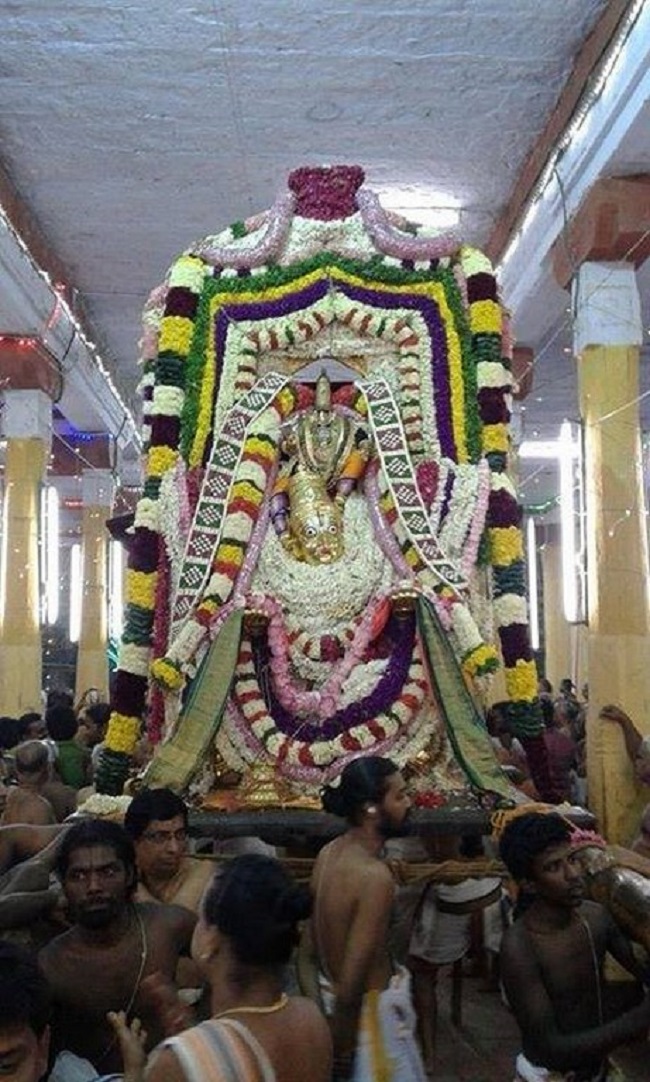Vanamamalai Sri Deivanayaga Perumal Temple Ennaikappu and Lakshadeepam Utsavam12