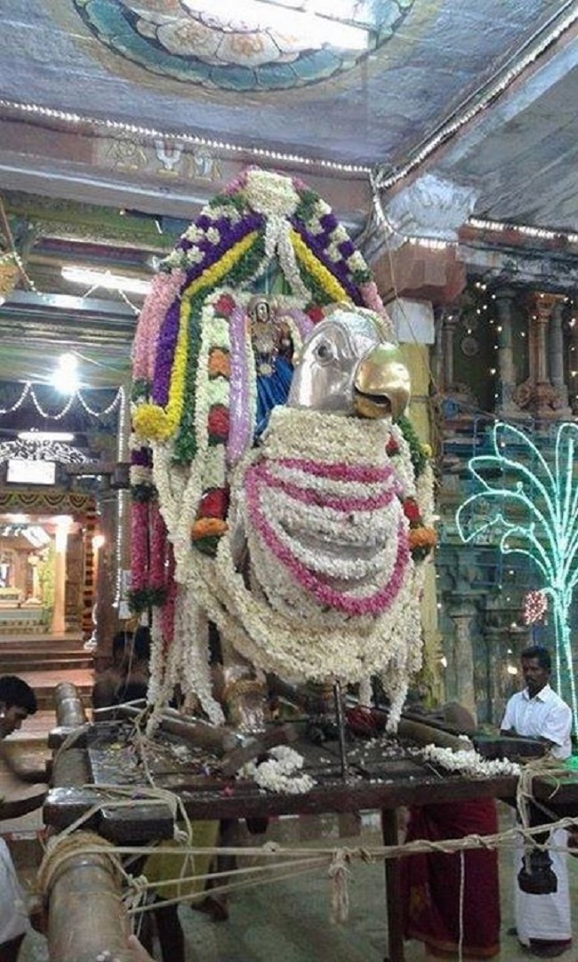 Vanamamalai Sri Deivanayaga Perumal Temple Ennaikappu and Lakshadeepam Utsavam19