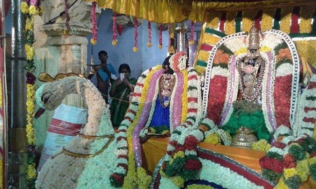 Vanamamalai Sri Deivanayaga Perumal Temple Ennaikappu and Lakshadeepam Utsavam23