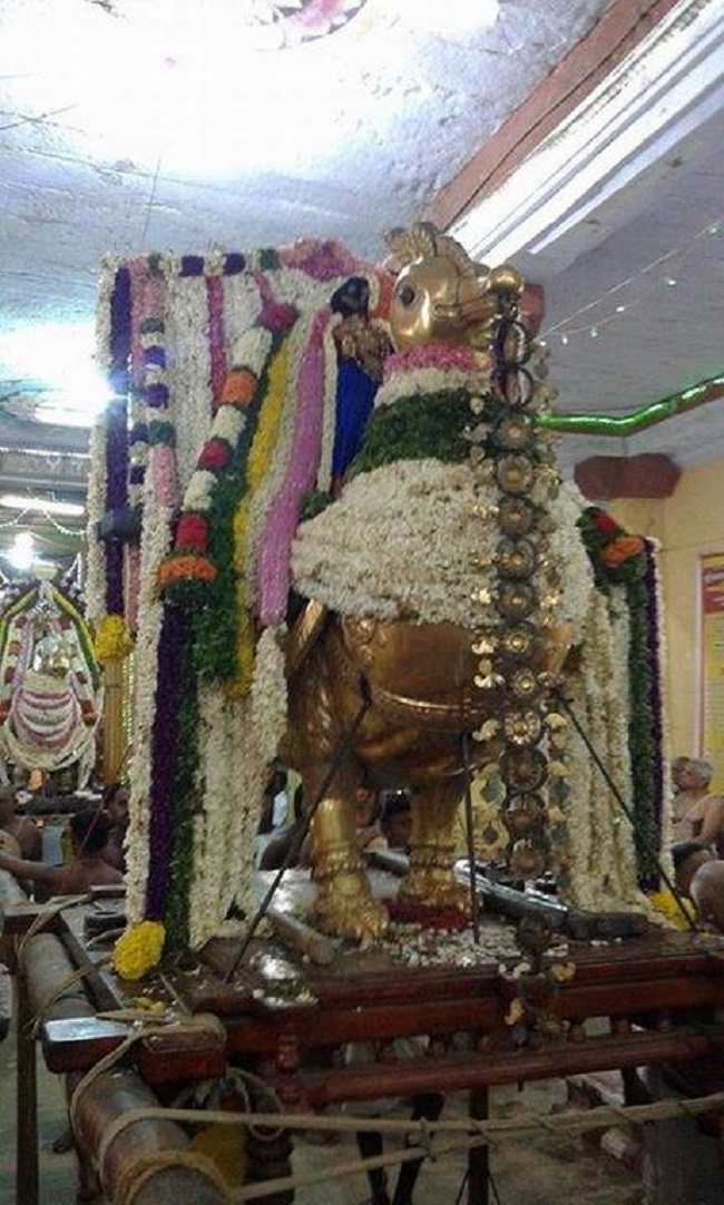 Vanamamalai Sri Deivanayaga Perumal Temple Ennaikappu and Lakshadeepam Utsavam26