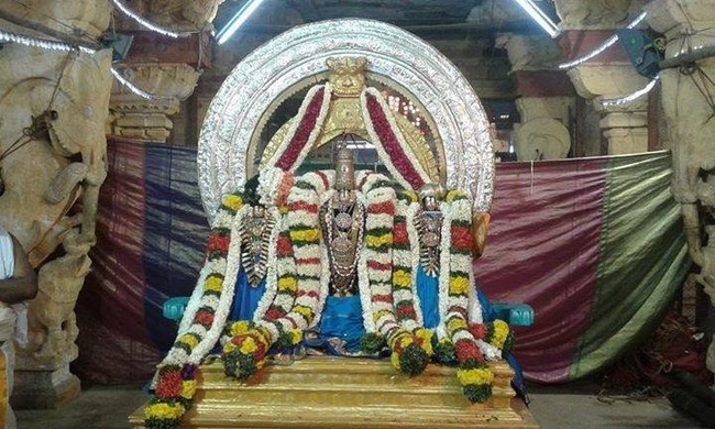 Vanamamalai Sri Deivanayaga Perumal Temple Ennaikappu and Lakshadeepam Utsavam28