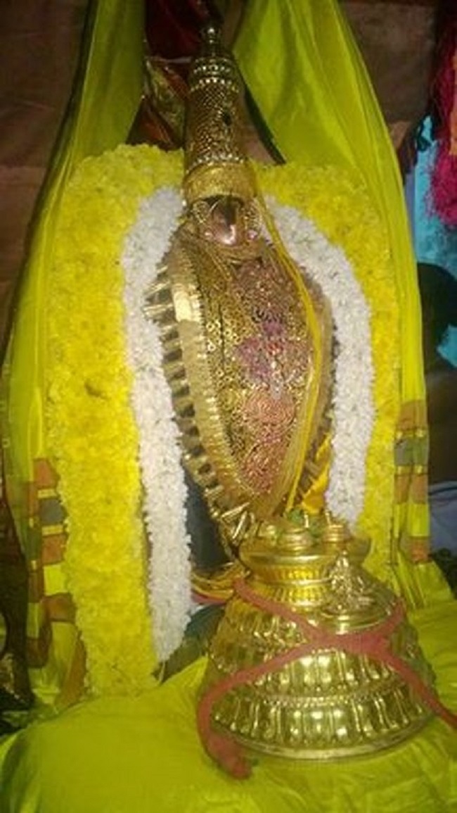 Vanamamalai Sri Deivanayaga Perumal Temple Irappathu Utsavam11