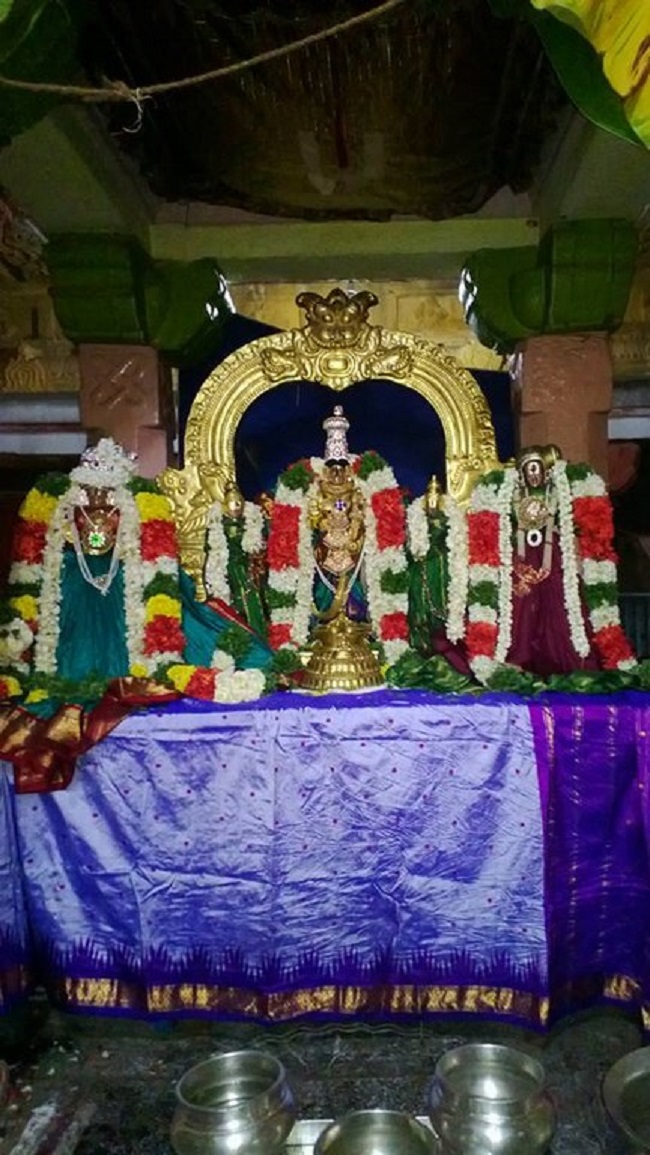 Vanamamalai Sri Deivanayaga Perumal Temple Irappathu Utsavam14