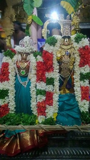 Vanamamalai Sri Deivanayaga Perumal Temple Irappathu Utsavam16