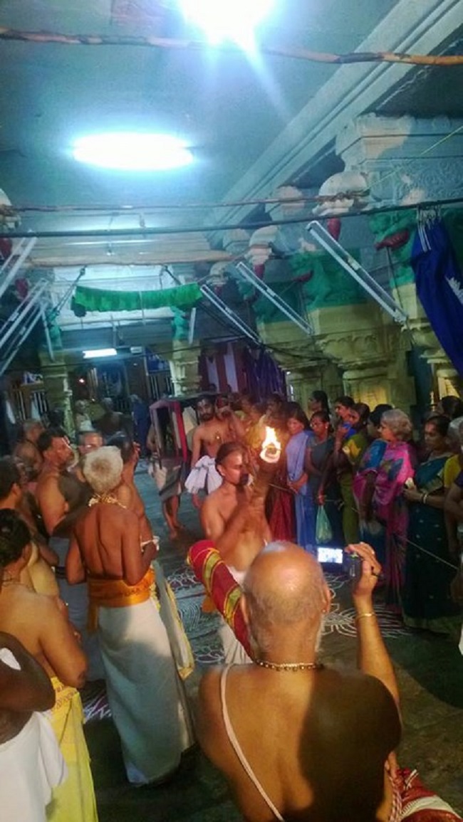 Vanamamalai Sri Deivanayaga Perumal Temple Irappathu Utsavam17
