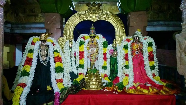 Vanamamalai Sri Deivanayaga Perumal Temple Irappathu Utsavam2