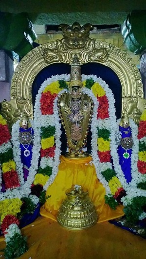 Vanamamalai Sri Deivanayaga Perumal Temple Irappathu Utsavam3
