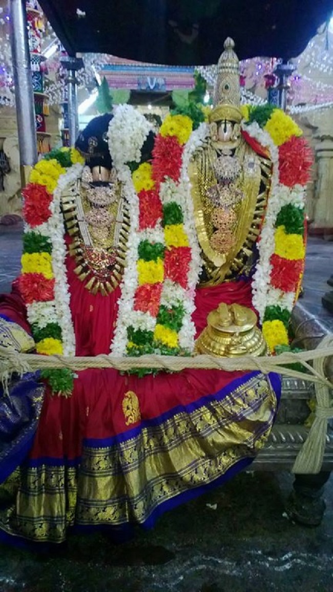Vanamamalai Sri Deivanayaga Perumal Temple Irappathu Utsavam4