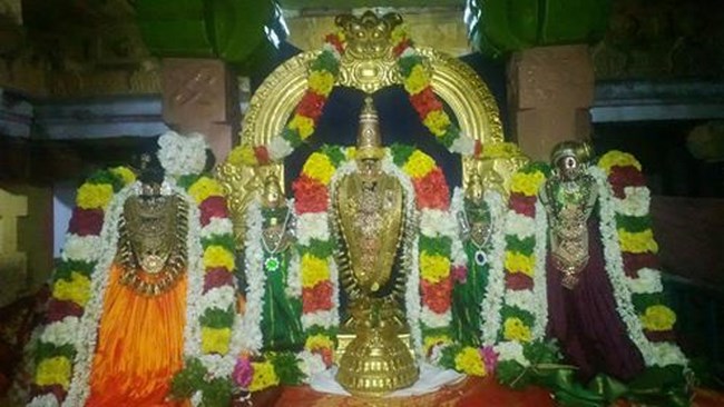 Vanamamalai Sri Deivanayaga Perumal Temple Irappathu Utsavam6