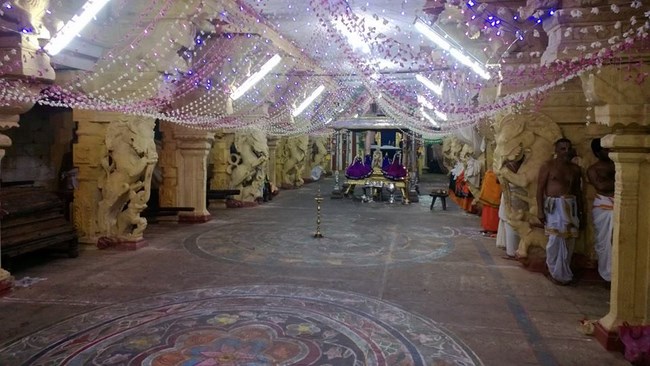 Vanamamalai Sri Deivanayaga Perumal Temple Irappathu Utsavam6