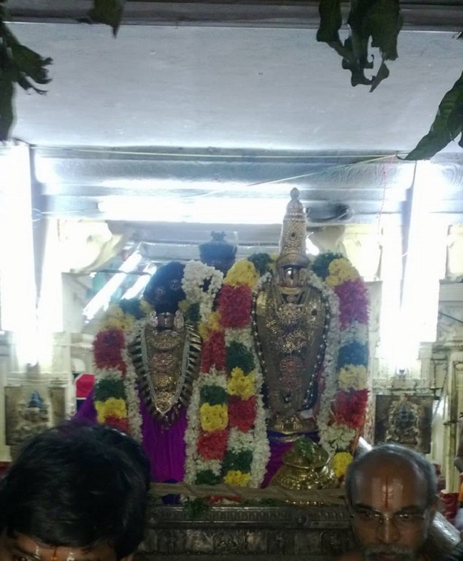 Vanamamalai Sri Deivanayaga Perumal Temple Irappathu Utsavam7