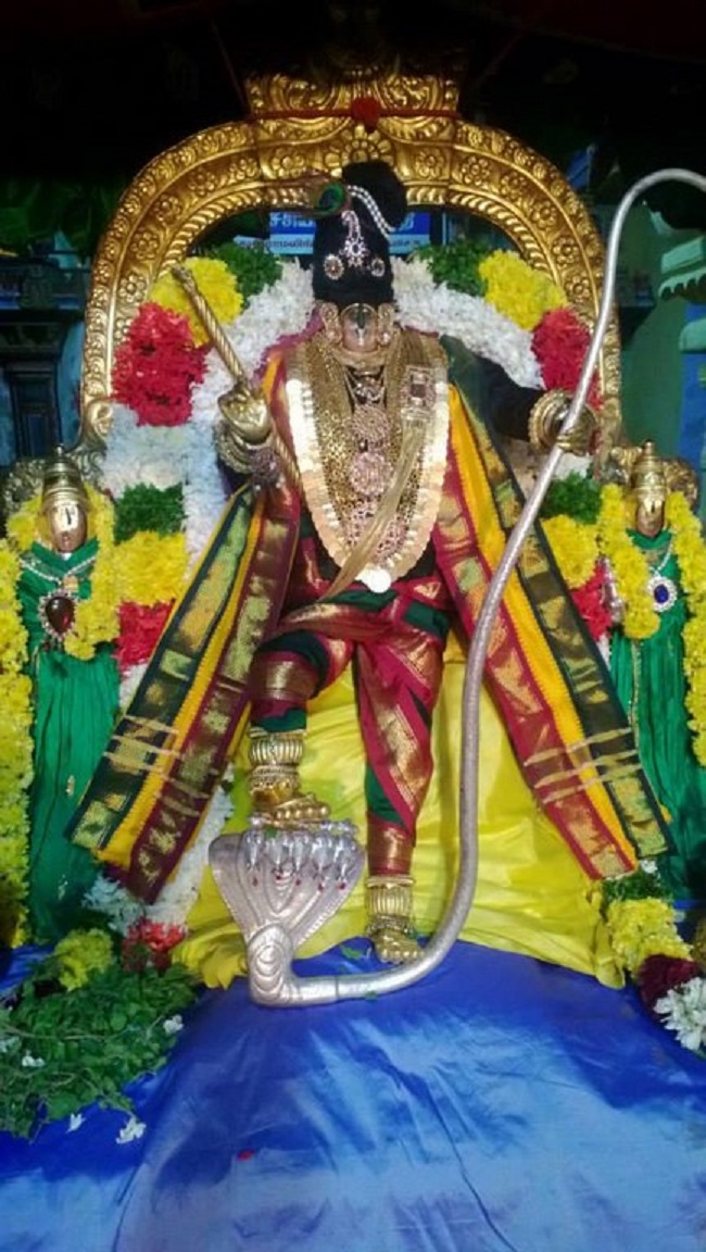 Vanamamalai Sri Deivanayaga Perumal Temple Thiruadhyayana Utsavam1