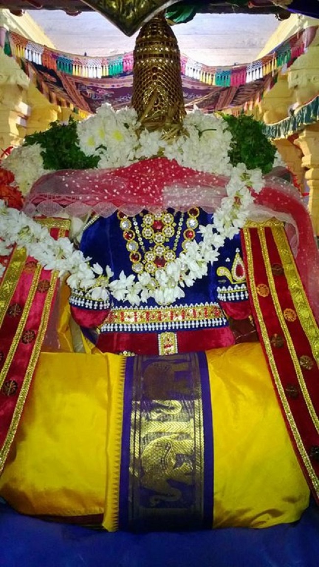 Vanamamalai Sri Deivanayaga Perumal Temple Thiruadhyayana Utsavam10