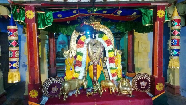 Vanamamalai Sri Deivanayaga Perumal Temple Thiruadhyayana Utsavam10