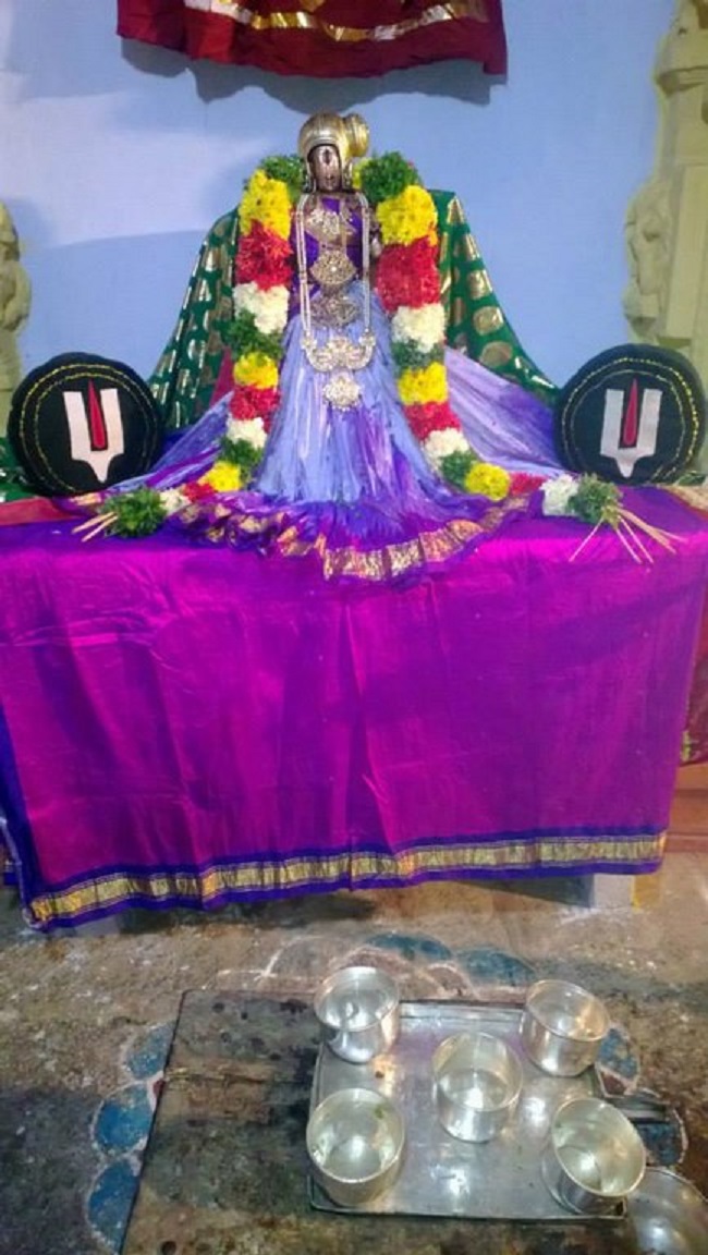 Vanamamalai Sri Deivanayaga Perumal Temple Thiruadhyayana Utsavam11