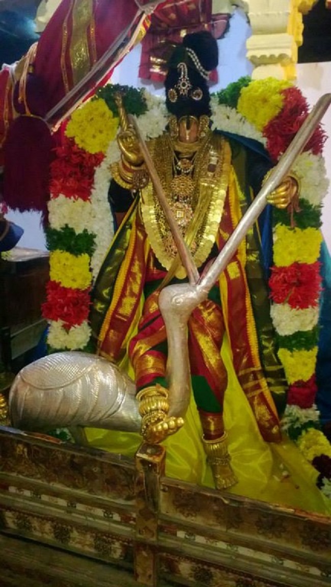 Vanamamalai Sri Deivanayaga Perumal Temple Thiruadhyayana Utsavam13