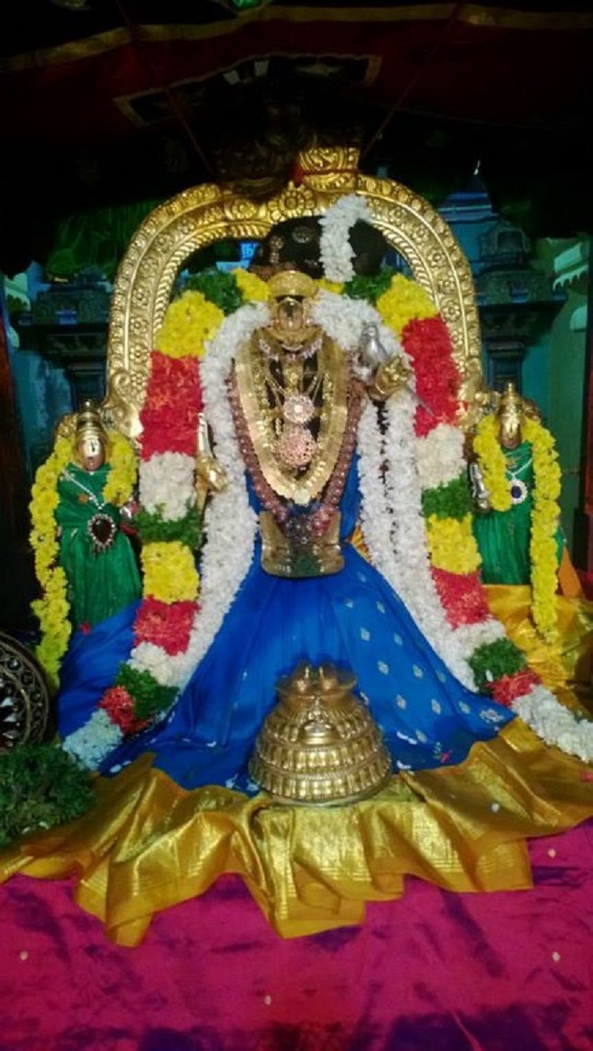 Vanamamalai Sri Deivanayaga Perumal Temple Thiruadhyayana Utsavam15