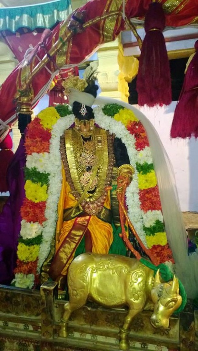 Vanamamalai Sri Deivanayaga Perumal Temple Thiruadhyayana Utsavam15
