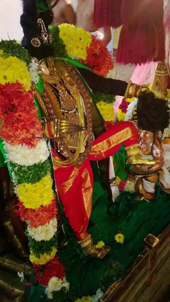 Vanamamalai Sri Deivanayaga Perumal Temple Thiruadhyayana Utsavam16