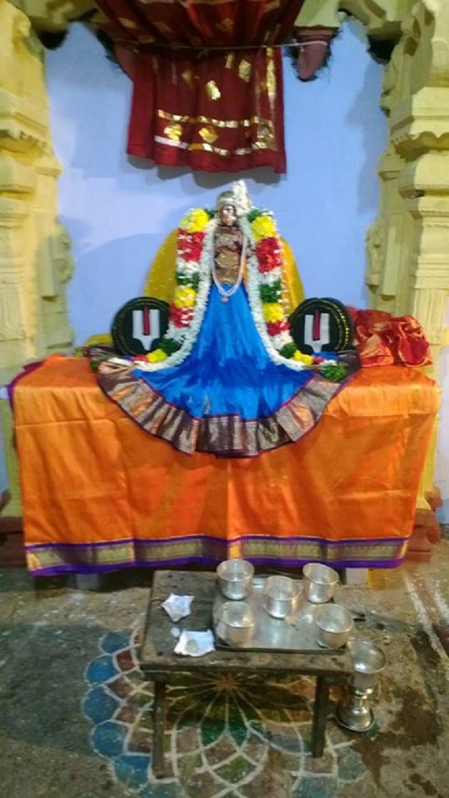 Vanamamalai Sri Deivanayaga Perumal Temple Thiruadhyayana Utsavam1