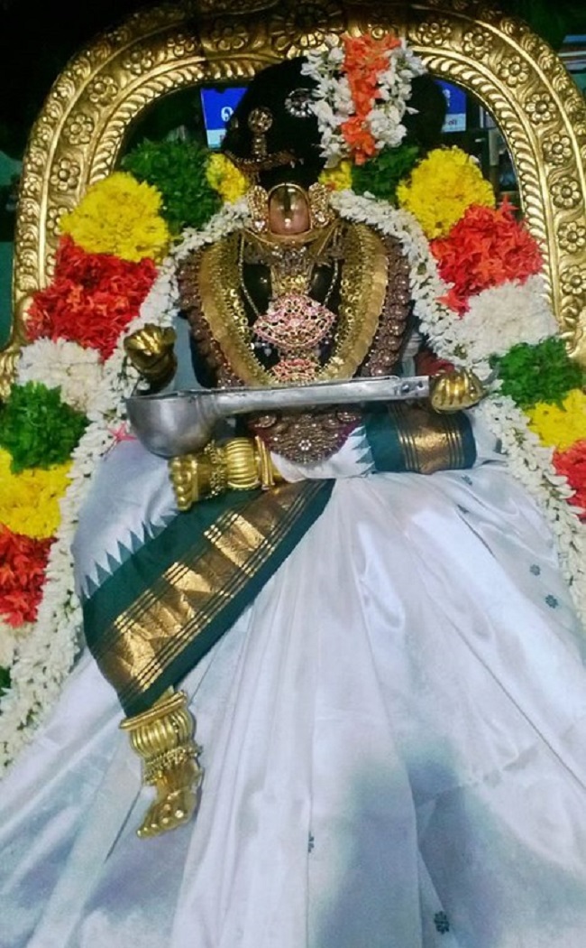 Vanamamalai Sri Deivanayaga Perumal Temple Thiruadhyayana Utsavam17