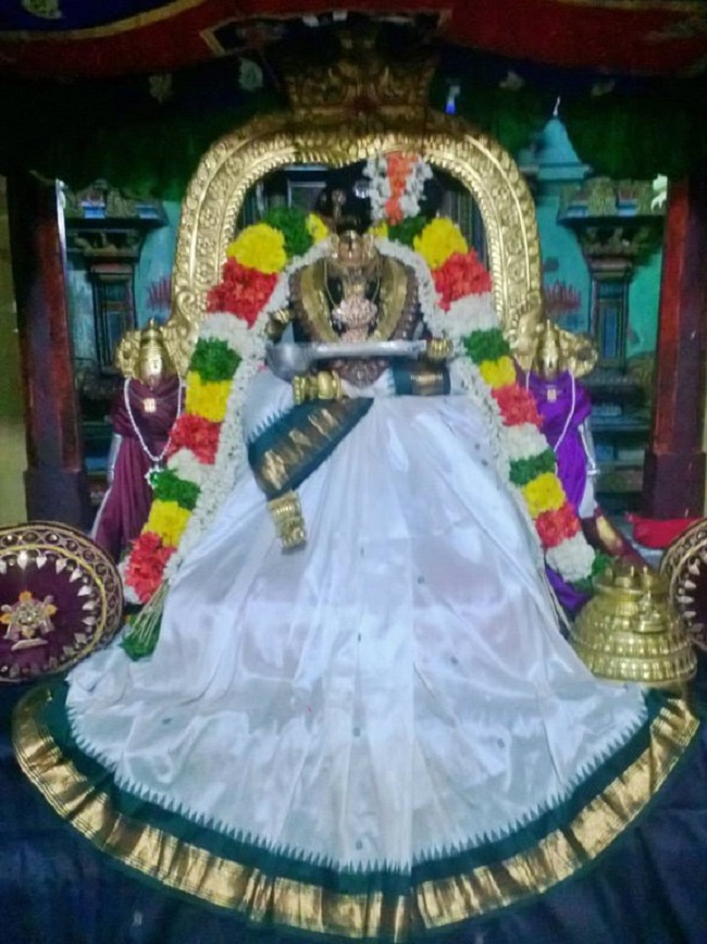 Vanamamalai Sri Deivanayaga Perumal Temple Thiruadhyayana Utsavam18