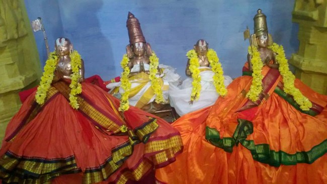 Vanamamalai Sri Deivanayaga Perumal Temple Thiruadhyayana Utsavam19