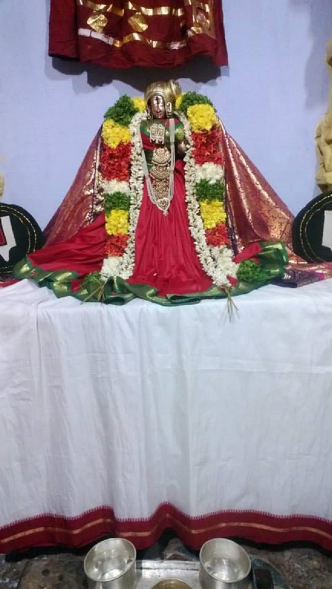 Vanamamalai Sri Deivanayaga Perumal Temple Thiruadhyayana Utsavam20