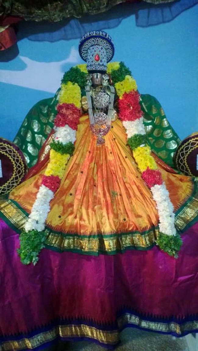Vanamamalai Sri Deivanayaga Perumal Temple Thiruadhyayana Utsavam5