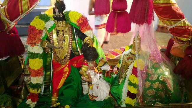 Vanamamalai Sri Deivanayaga Perumal Temple Thiruadhyayana Utsavam5