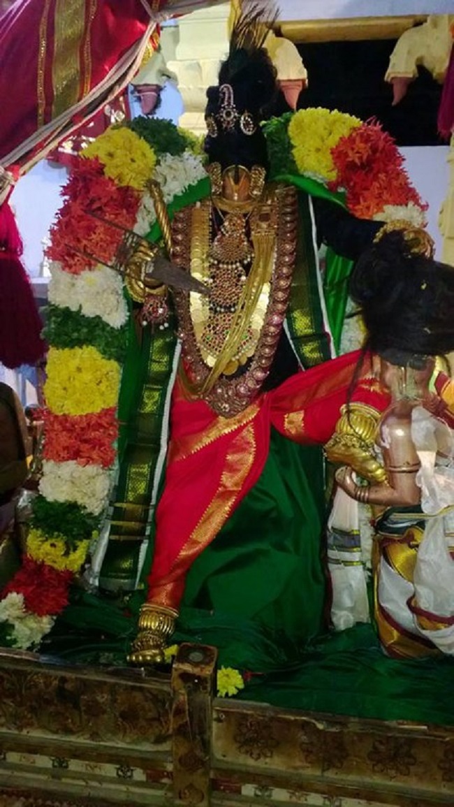 Vanamamalai Sri Deivanayaga Perumal Temple Thiruadhyayana Utsavam7