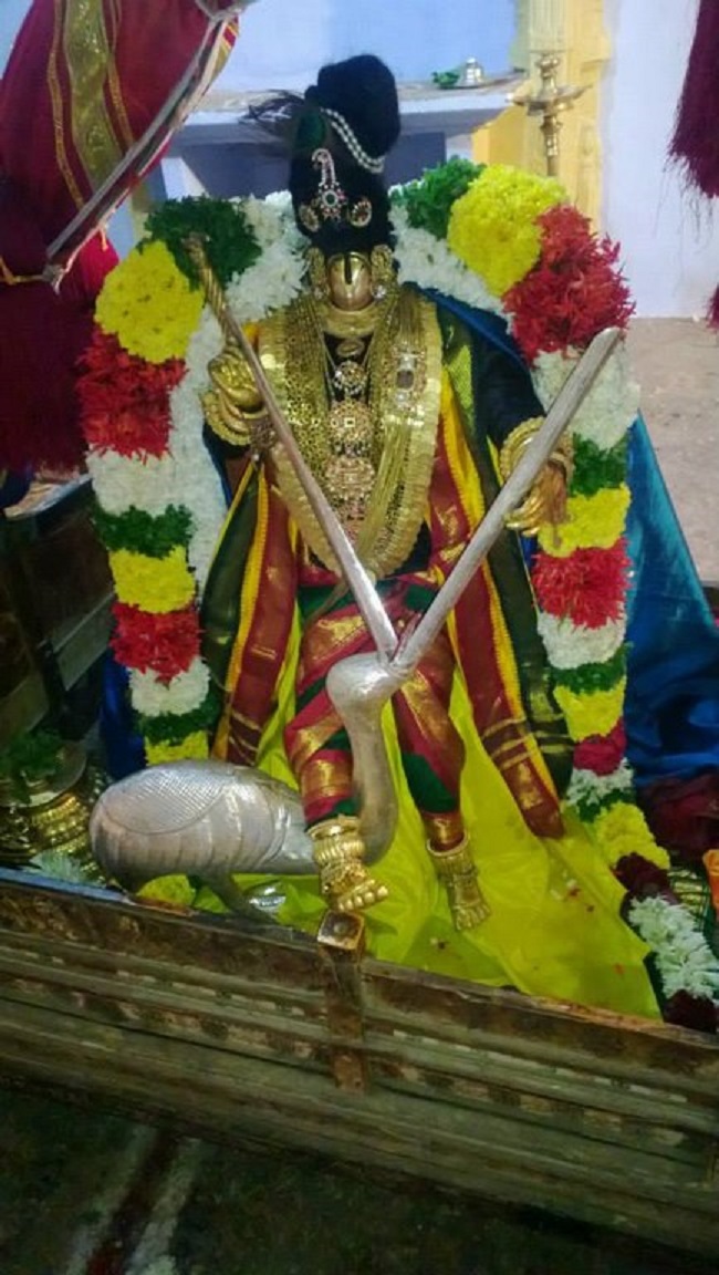 Vanamamalai Sri Deivanayaga Perumal Temple Thiruadhyayana Utsavam8