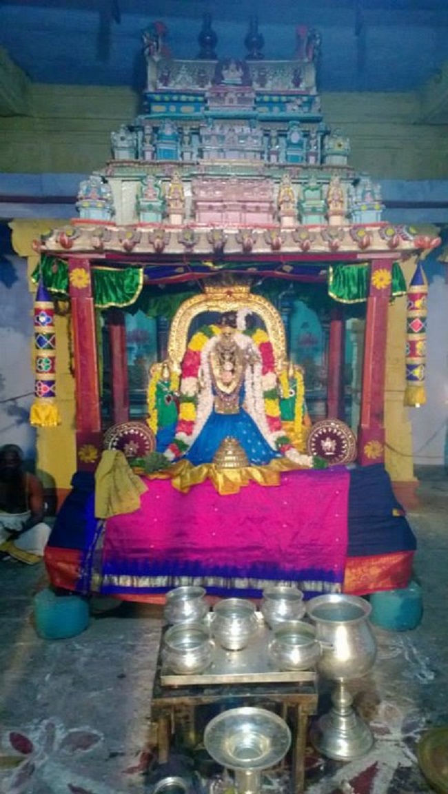 Vanamamalai Sri Deivanayaga Perumal Temple Thiruadhyayana Utsavam9