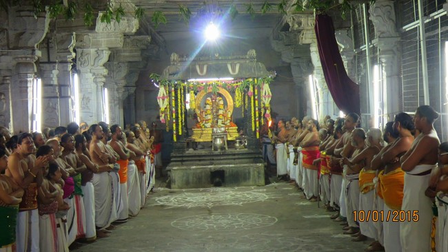 kanchi Devarajaswami Temple Irappathu UTsavam Namamzhwar Thiruvadi thozhal 2015-44